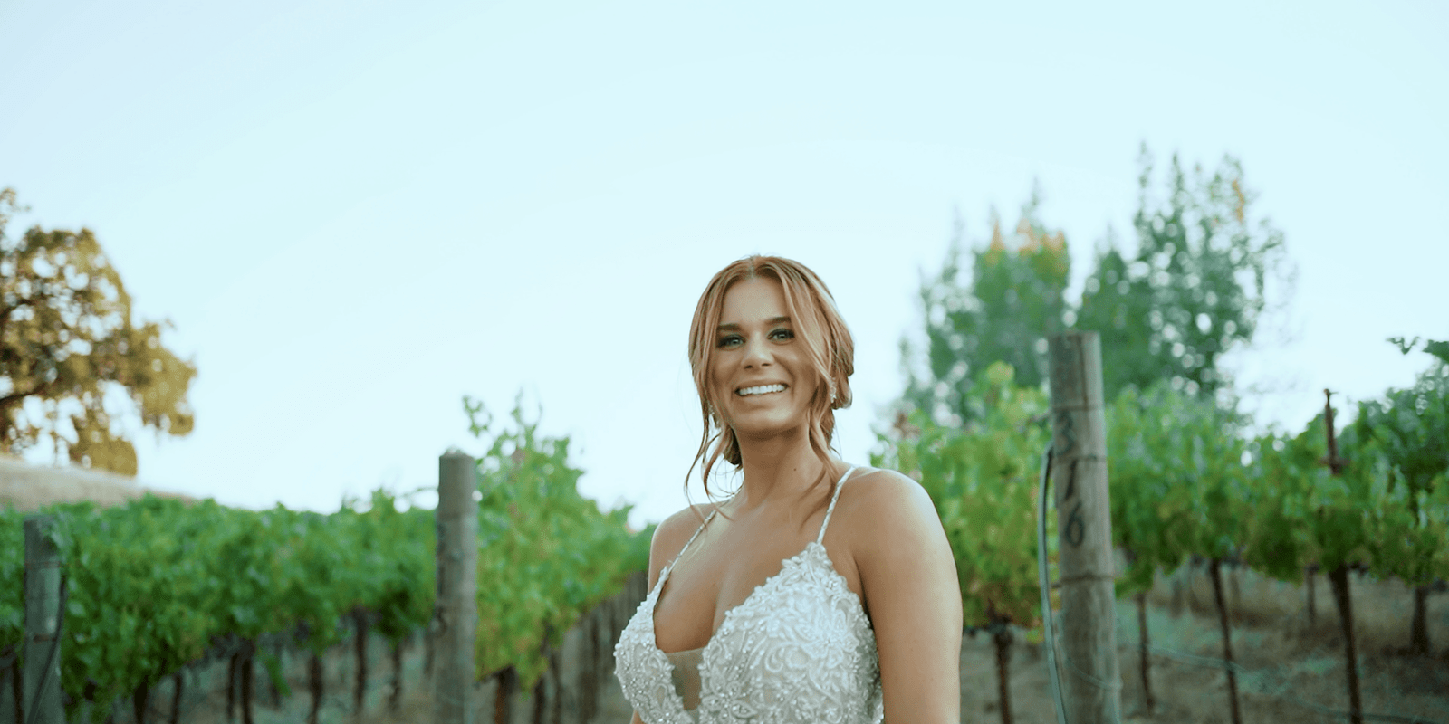 Beautiful Bride in the vineyard